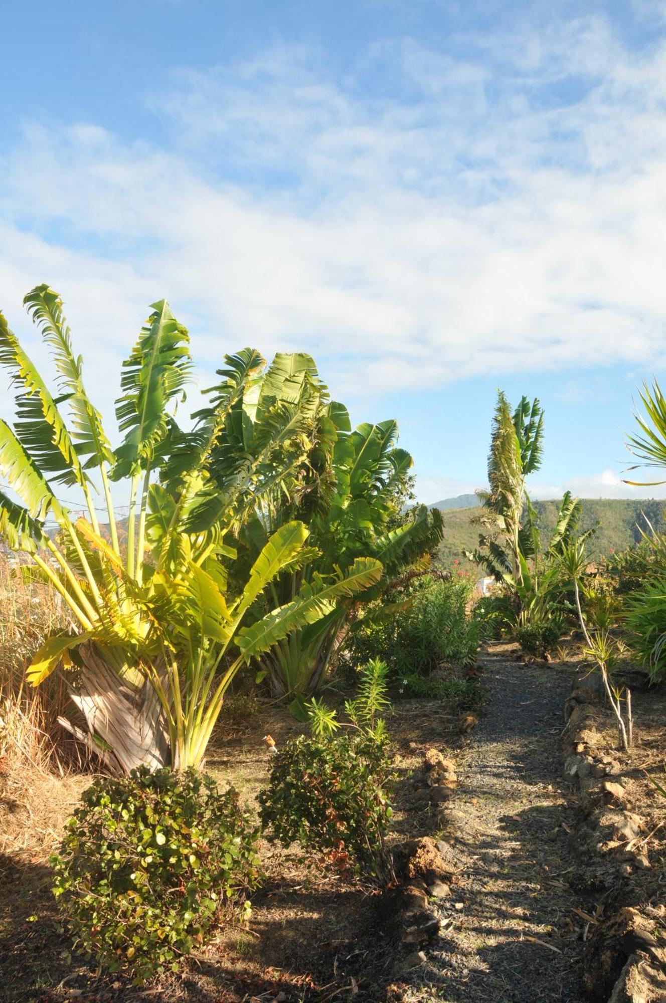 Mango Island Lodges Saint Joseph Exterior foto