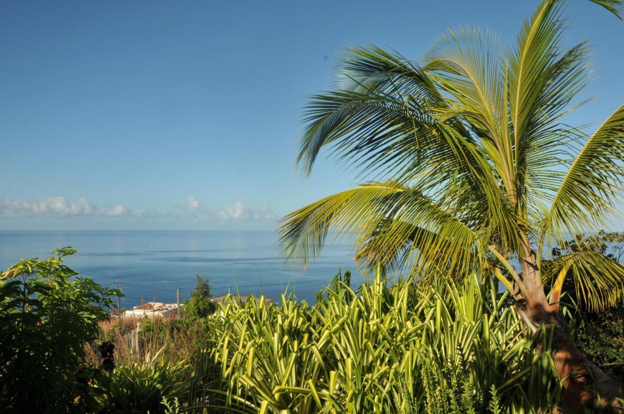 Mango Island Lodges Saint Joseph Exterior foto