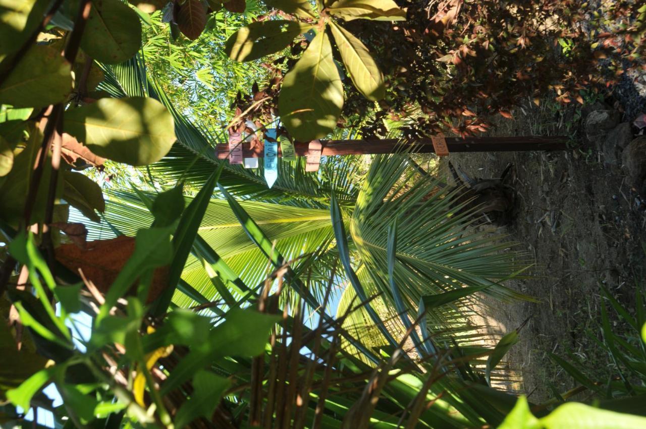 Mango Island Lodges Saint Joseph Exterior foto
